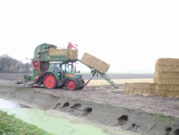 Covering the fields with Straw
